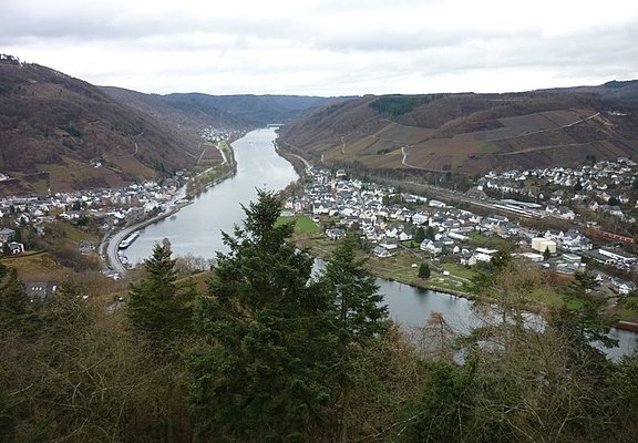 Aussicht vom Aussichtsturm Prinzenkopf auf Bullay und Alf