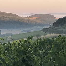 Sonnenaufgang im Sommer
