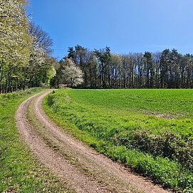 Radweg zum Kulturplateau Kastel-Staadt