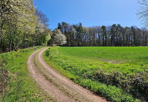 Radweg zum Kulturplateau Kastel-Staadt