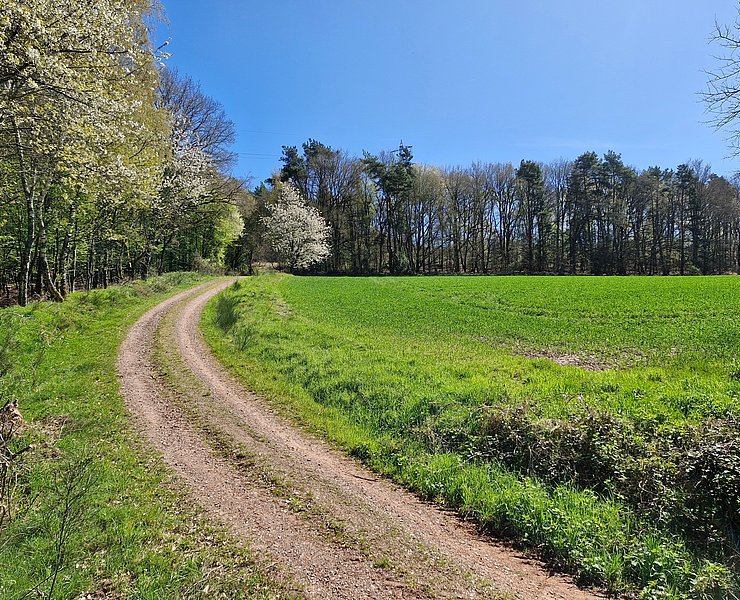 Radweg zum Kulturplateau Kastel-Staadt