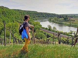 Moselsteig Seitensprung Wehrer Rosenberg