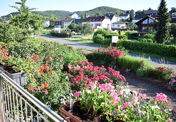 Ferienweingut Raevenhof (5)
