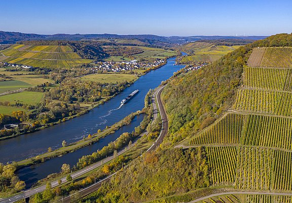 Wiltingen Saar