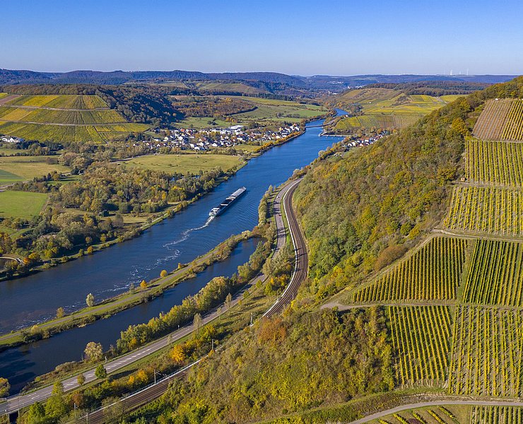 Wiltingen Saar