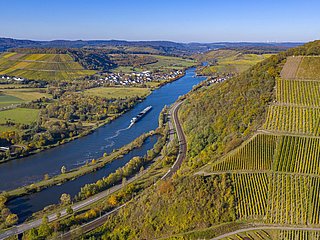 Wiltingen Saar