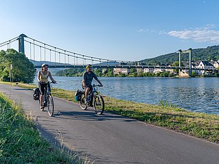 Der Mosel-Radweg bei Wehlen