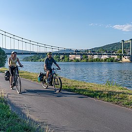 Der Mosel-Radweg bei Wehlen