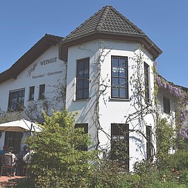 Ferienweingut Raevenhof (7)