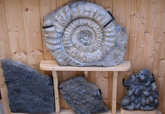 Privatmuseum Taben-Rodt (2)