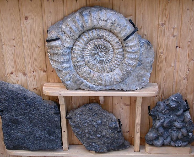 Privatmuseum Taben-Rodt (2)