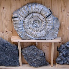 Privatmuseum Taben-Rodt (2)
