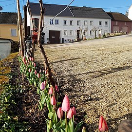 Weingut Peter Greif (2)