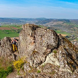 Saar-Riesling-Steig