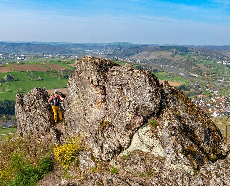 Saar-Riesling-Steig