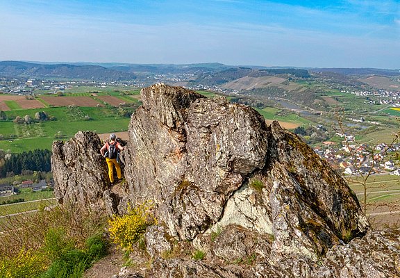 Saar-Riesling-Steig