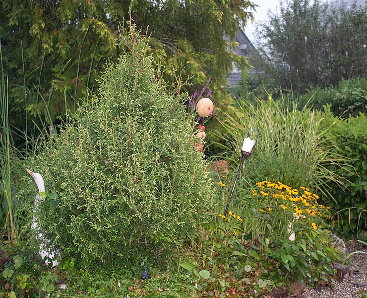 Fewos Weitmann Ockfen (04)