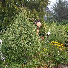 Fewos Weitmann Ockfen (04)