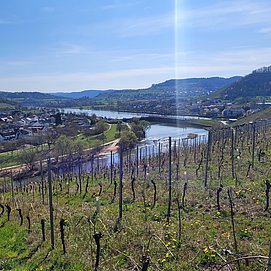 20250403_151848