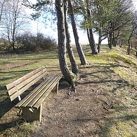 Bank an der Hangkante vor der Schutzhütte Maria Zill
