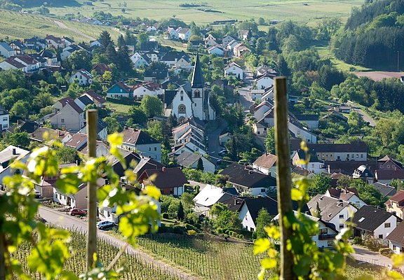 Blick auf Ockfen
