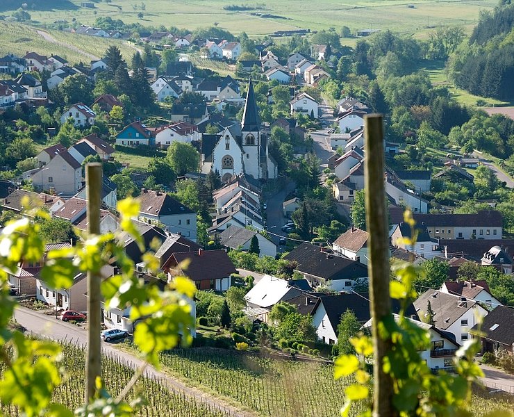 Blick auf Ockfen