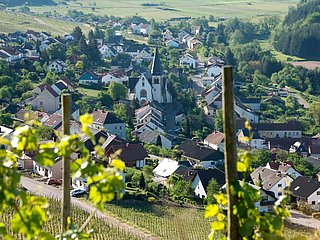 Blick auf Ockfen