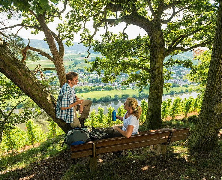 Schattiges Plätzchen auf dem Brauneberg