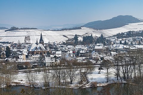 Winter in Wiltingen Winter in Wiltingen