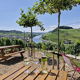 Weinhütte im Leiterchen Nittel (04)
