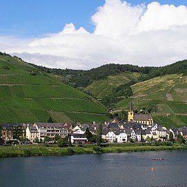Blick auf Zeltingen-Rachtig