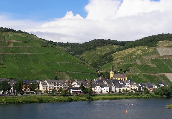 Blick auf Zeltingen-Rachtig