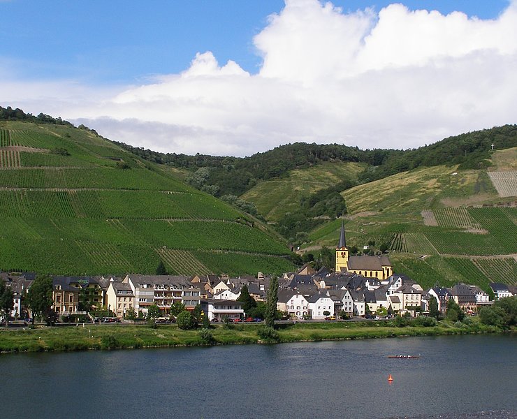 Blick auf Zeltingen-Rachtig