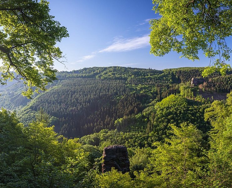 Aussicht auf dem Felsplateu Kastel-Staadt