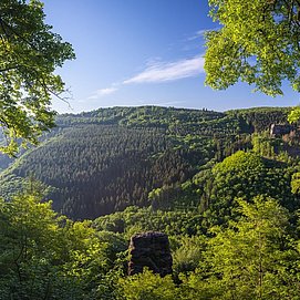 Aussicht auf dem Felsplateu Kastel-Staadt