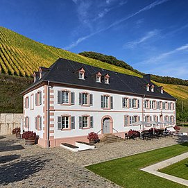Weingut Cantzheim (6)