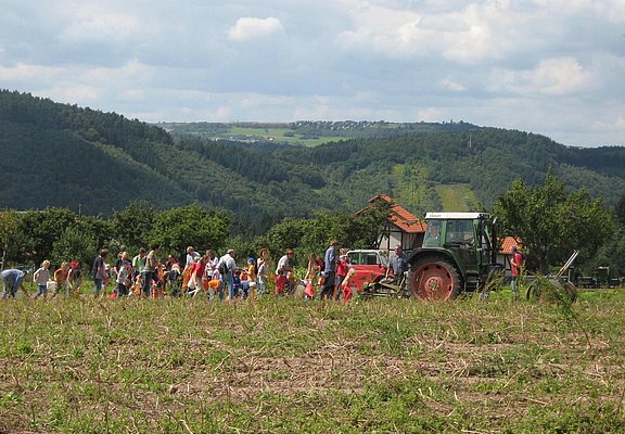 Weinbergsbahn Serrig (5)