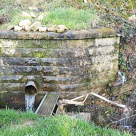 Quelle der Kehrbach (1)