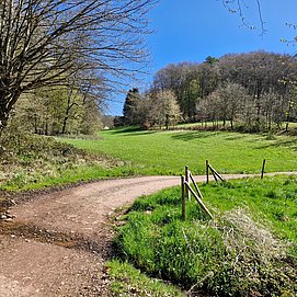 Radweg bei Trassem-Perdenbach