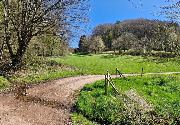 Radweg bei Trassem-Perdenbach