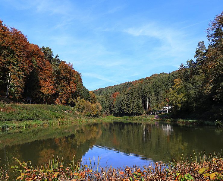 Angelweiher Trassem (1)