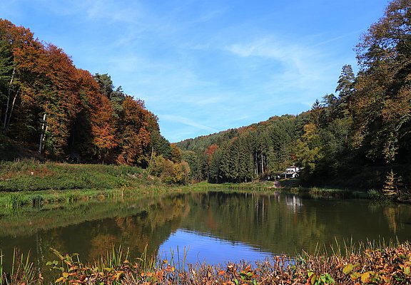 Angelweiher Trassem (1)