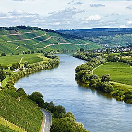 Moseltal bei Brauneberg
