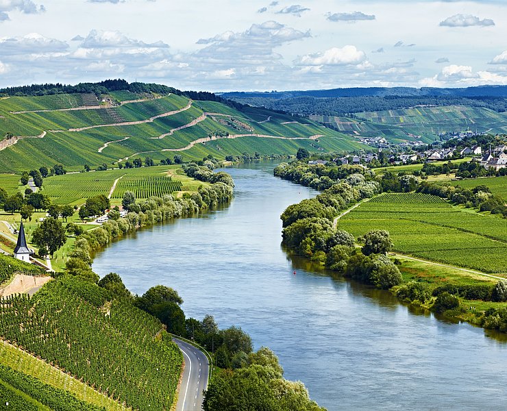 Moseltal bei Brauneberg