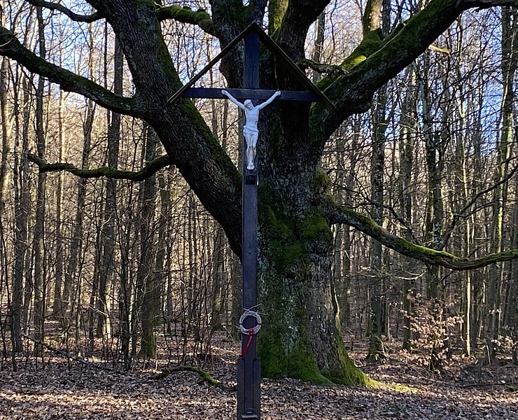 Krohkreuz (01)