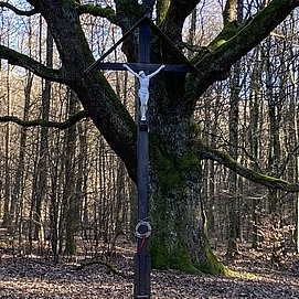 Krohkreuz (01)