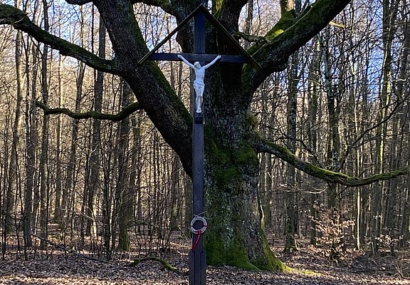 Krohkreuz (01)