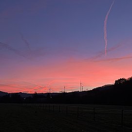 IMG_4189