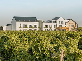 Wein