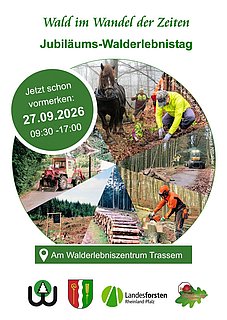 Walderlebnistag Walderlebnistag